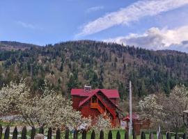 Pensiunea Cabana Viselor ,Apuseni โรงแรมในVadu Moţilor