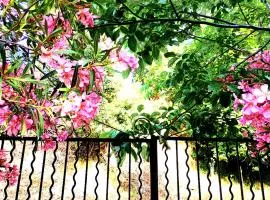 CASA OLMU with its private swimming pool and garden