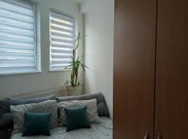 Fantazija Tešnjar Apartment