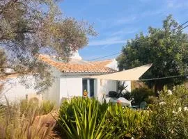 Casa Cobra