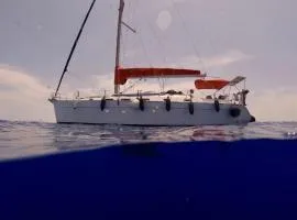 Seawater society charters Malta