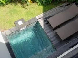 Brand New Tropical Villa with Private Plunge Pool
