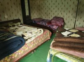 Lord Shiva Camps