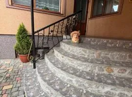 Затишні Апартаменти біля Софіївки