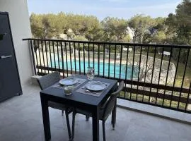 Superbe studio terrasse piscine et plage