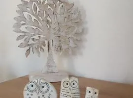 Apartman Megi