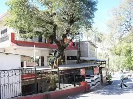 zoz mount abu