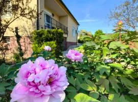 Gyöngyvirág Vendégház