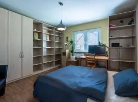 Budget Apartment im Rheingau mit Balkon und Terrasse