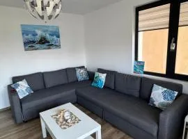 Guest Apartment Todorovi with free parking