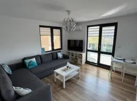 Guest Apartment Todorovi with free parking
