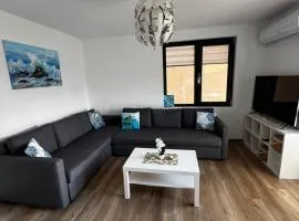 Guest Apartment Todorovi with free parking