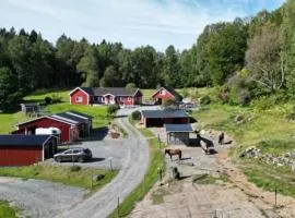 Country House on a Horse Farm - Dogs welcome