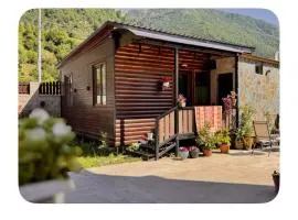 Mestia Alpine Cottage