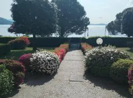 Lake's dream