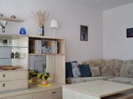 Santariškės Apartment