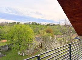 Green Horizon House Kutaisi, hotel a Banoja