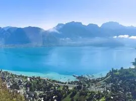 Les Glycines Spacieux appartement 6 pers avec Jardin à 200m du Lac