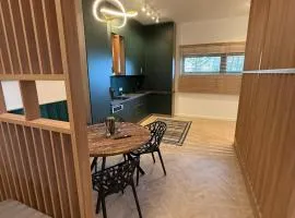 Tomis Villa Center Studio