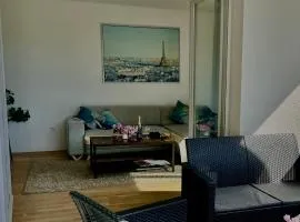 Lumière Parisienne Spacious 2BR Apartment with Terrace Free Parking Near Metro Line 13
