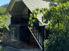 Sakalmakhe villa kvabiskhevi