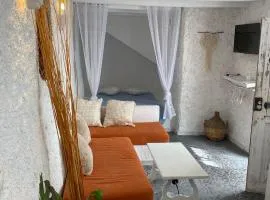 Estudio Aryas nest 1