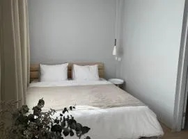 Pikk 10 City Apartment, free parking