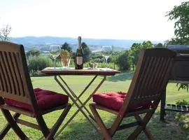 Little Olive Grove at Casa Mimosa