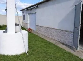 La Rocina