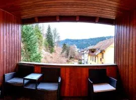 Stilvolle Fewo mit Dom-Blick & Balkon zentral in Sankt Blasien