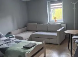 Pokoje i Apartamenty nad potokiem Skałka