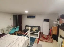 Lower ground floor Studio in Stockport