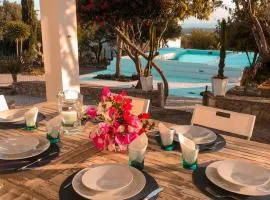 Monte das Oliveiras - Private Villa with Pool