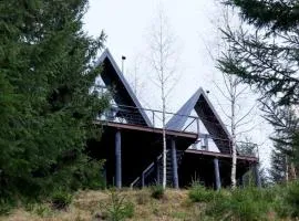 Forest Huts