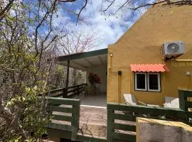 Studio Tropical Paradise - The green flamingo