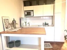 Departamento de un ambiente en Hindu Club, vista abierta!