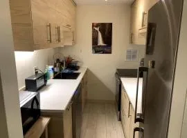 Spacious Studio Near Harvard Sq