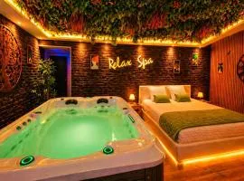 RELAX SPA-4 Pers-Jacuzzi-Parking-Jardin-Clim-Colmar