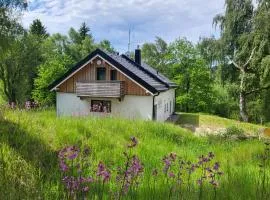 Chalet Pasečná Apartments