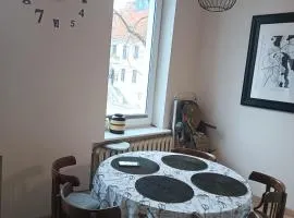 Apartament nad jeziorem Czos
