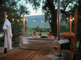 Zaire Lodge