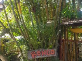 Mompiche में, होटल Bongosurfcamp