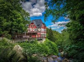 Waldgasthaus & Berghotel Steinerne Renne