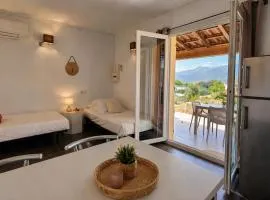 T2 Résidence Dolce & Vita B3 avec piscine