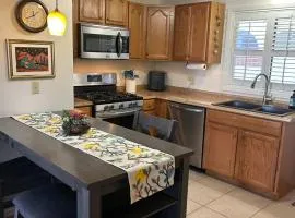 NEW Saguaro Serenity