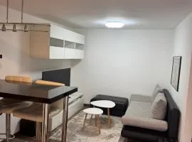 Small apartment in heart of Werfen