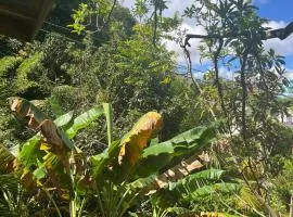 CJ's Creole Hideaway