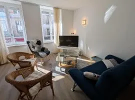 Appartement spacieux en centre-ville - FR-1-583-519