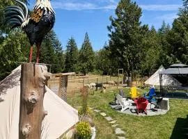 Basecamp3105