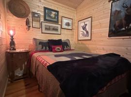 Little Bear Tiny Cabin – hotel w mieście Cosby